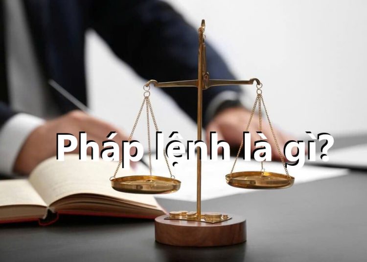 Pháp lệnh là gì?