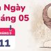 11/5 là cung gì?