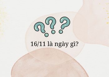 16/11 là ngày gì?