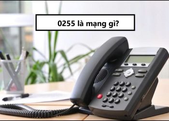0255 là mạng gì?