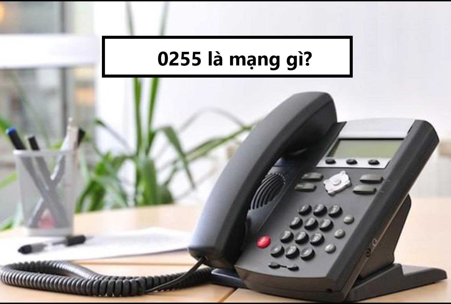 0255 là mạng gì?