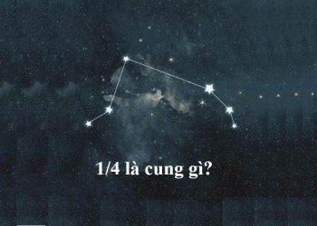 1/4 là cung gì?