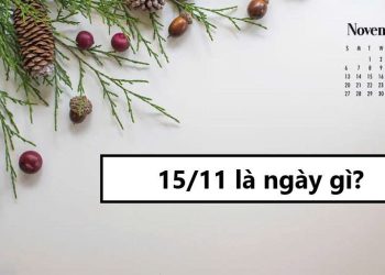 15/11 là ngày gì?