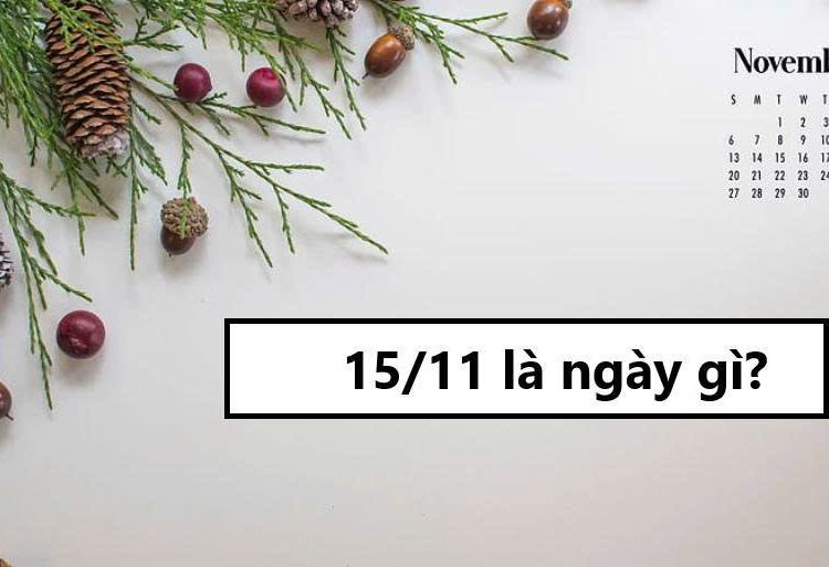 15/11 là ngày gì?