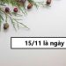 15/11 là ngày gì?