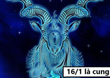 16/1 là cung gì?
