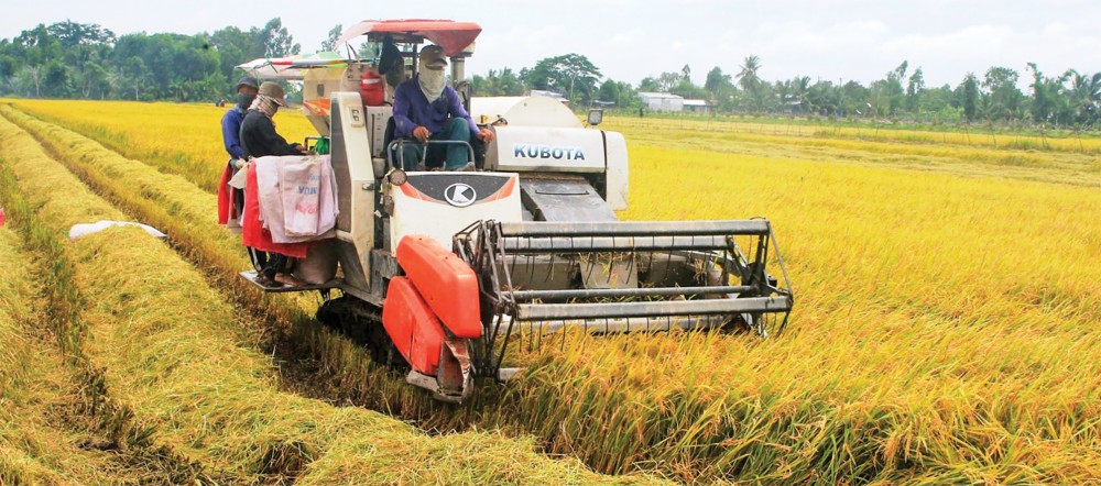 Biến đổi của lực điền qua đời sống hiện đại