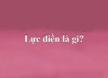 Lực điền là gì?
