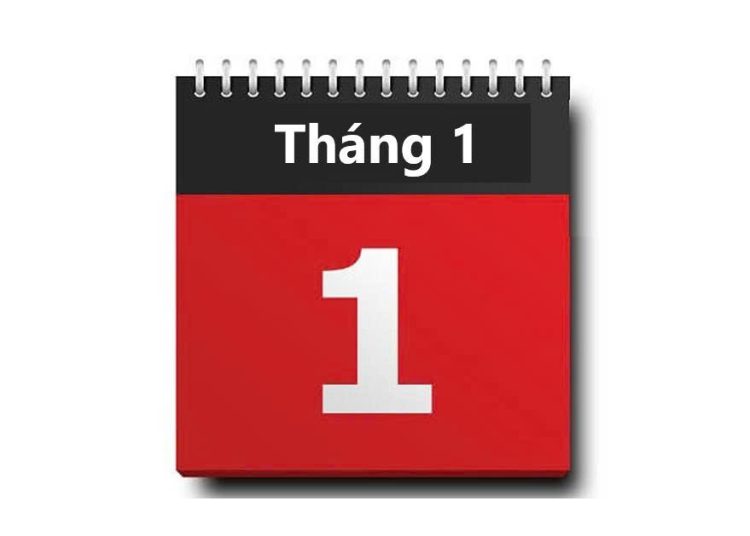 ngày 1/1 là ngày gì?